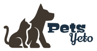 Logo_google_petsyeto.png